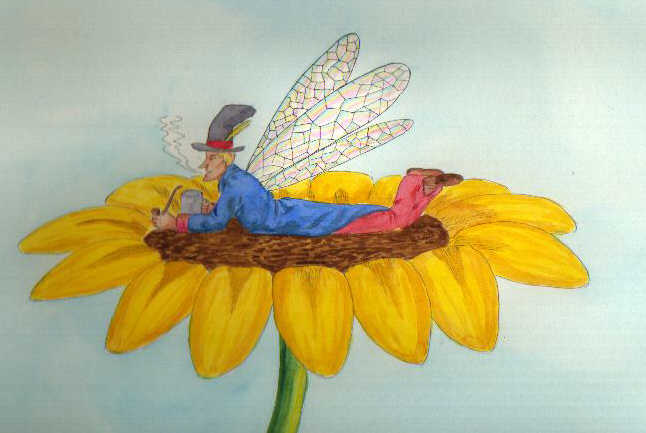 Elf und Sonnenblume