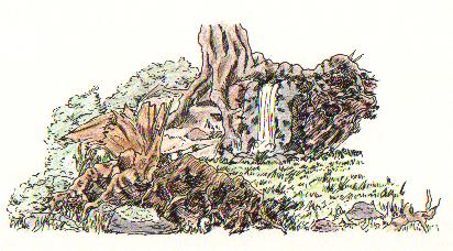 Waldst&uuml;ck