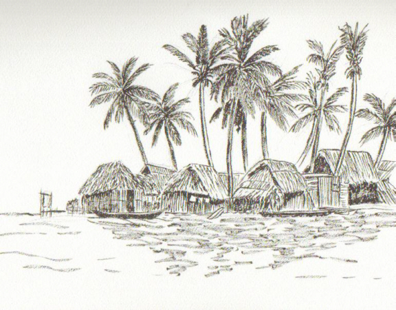 Studie: Insel